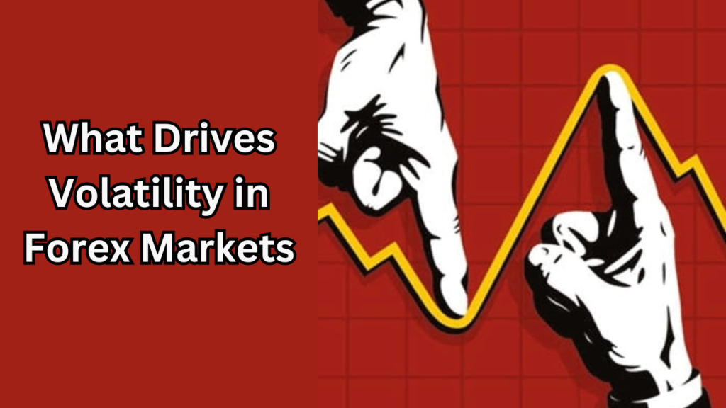 What Drives Volatility in Forex Markets?